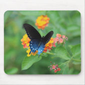 ピペバイン/ブルーアゲハチョウ蝶の花 マウスパッド (正面)