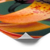 ピペビンアゲハチョウ ポスター (角)