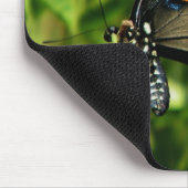 ピペビンアゲハチョウ マウスパッド (コーナー)