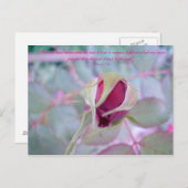 ピュアエレガンス葉書 ポストカード (正面/裏面)