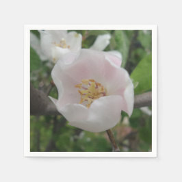 ピュアカクテル紙ナプキンス スタンダードカクテルナプキン