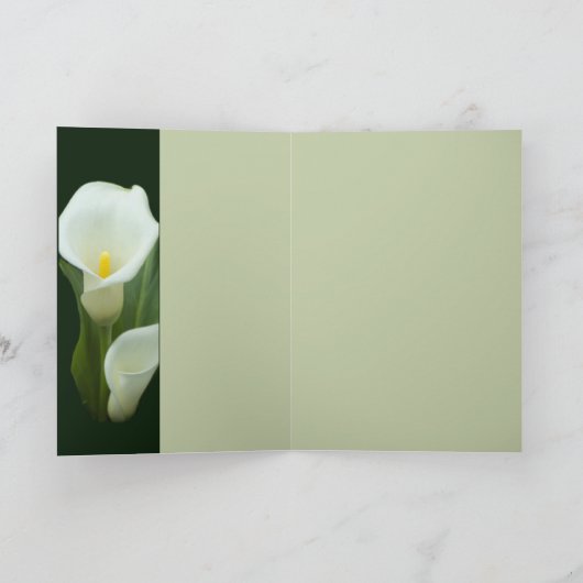 ピュアカラ カード (内部)