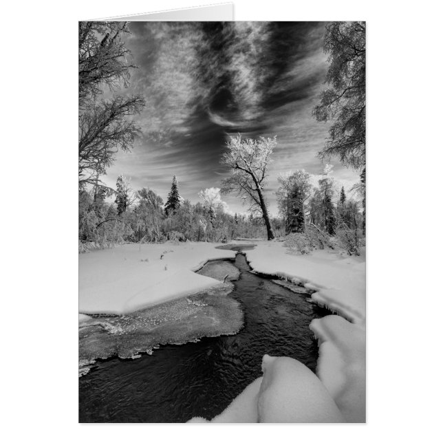 ピュアキャンベルクリーク (正面)