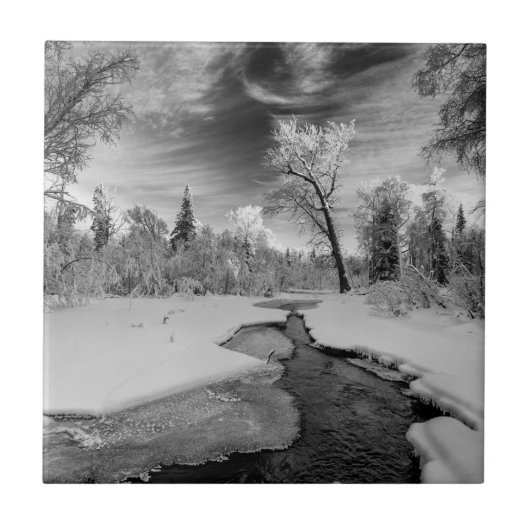 ピュアキャンベルクリーク タイル (正面)