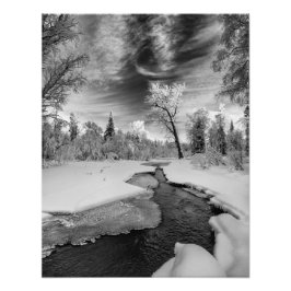 ピュアキャンベルクリーク フォトプリント           