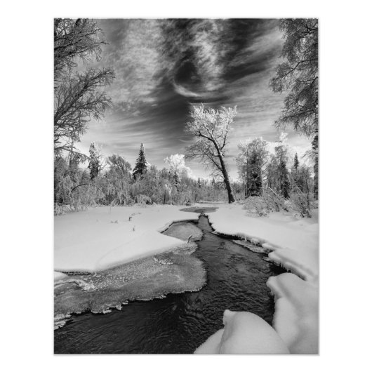 ピュアキャンベルクリーク フォトプリント            (正面)