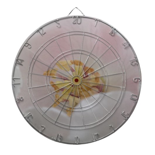 ピュアダーツボード ダーツボード (正面)