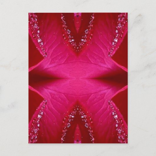 ピュアバラペタルアート – ブラッドレッドn PinkRose ポストカード (正面)