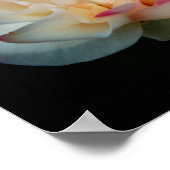 ピュアブリスバラ ポスター (角)