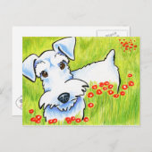 ピュア・シュナウザー ポストカード (正面/裏面)