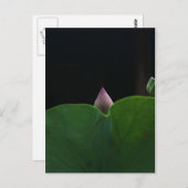 ピュア ポストカード (正面/裏面)