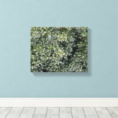 ピュア・マンザニータ キャンバスプリント (インサイチュ (ウッドフロア))