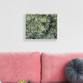 ピュア・マンザニータ キャンバスプリント (インサイチュ (リビング))