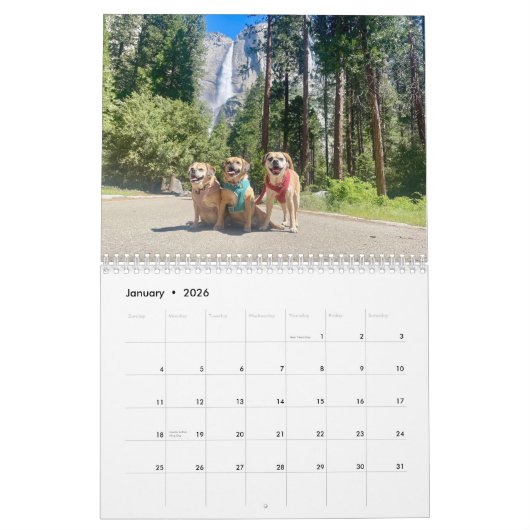 ピューグル2025 カレンダー (1月 2026)