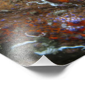 ピューゲットサウンドキングカニの写真拡大 フォトプリント (角)