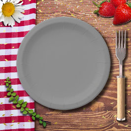 ピューター無地の灰色 |クラシックエレガント ペーパープレート