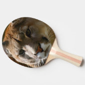 ピューマ猫 卓球ラケット (横)