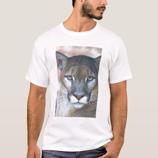 ピューマ、クーガー、フロリダパンサー、山猫 Tシャツ (正面)
