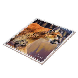 ピューマ タイル