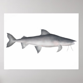 ピライバ ポスター