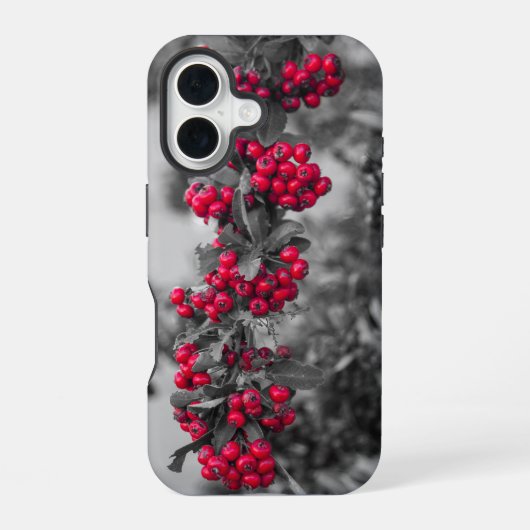 ピラカンサの実のスマホケース iPhone 16ケース (裏面)