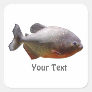 ピラニアの南アフリカの魚 スクエアシール