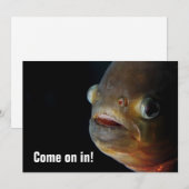 ピラニアの招待状 招待状 (正面/裏面)