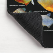 ピラニアの製品 マウスパッド (コーナー)