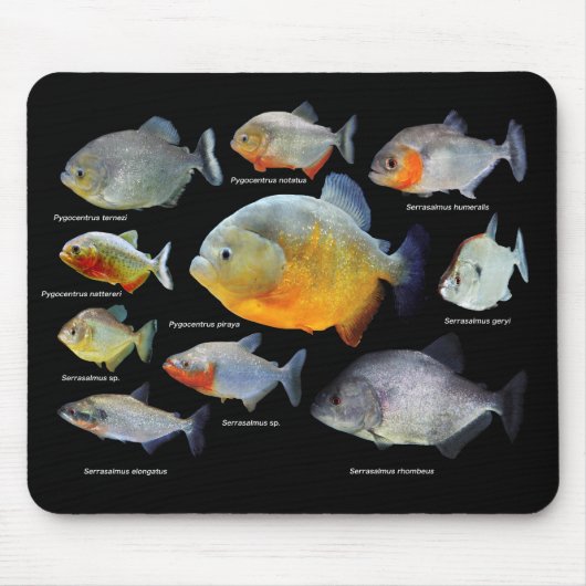 ピラニアの製品 マウスパッド (正面)