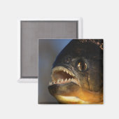 ピラニア・クローズアップ マグネット (正面/裏面)