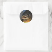 ピラニア・クローズアップ ラウンドシール (バッグ)