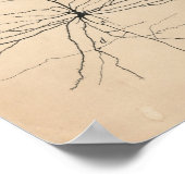 ピラミダニューロンスケッチバイサンティアゴラモンYカハル ポスター (角)