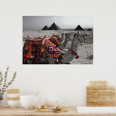 ピラミッドでのラクダ ポスター (キッチン)