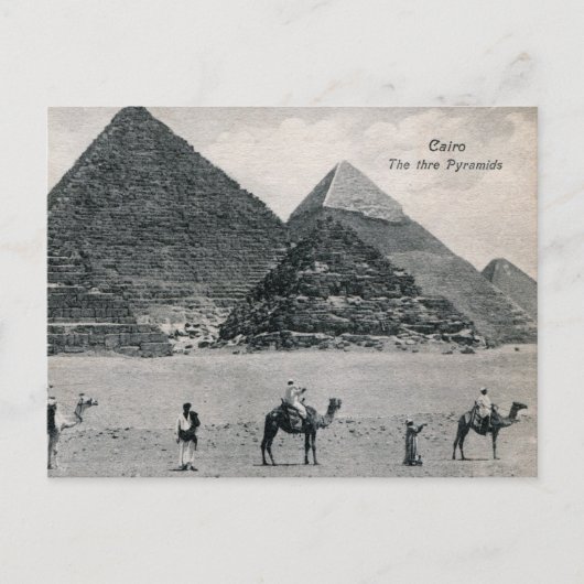 ピラミッドとラクダ，カイロエジプトヴィンテージ ポストカード (正面)