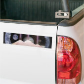 ピラミッドの惑星の宇宙 バンパーステッカー (トラック上)