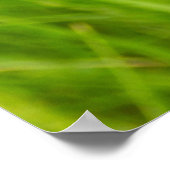 ピラミッド型オーキッドポスター ポスター (角)