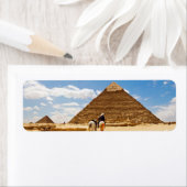 ピラミッド ラベル (インサイチュ)