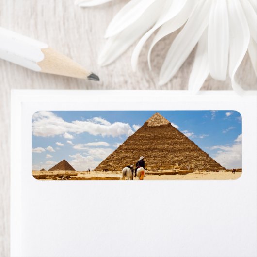 ピラミッド ラベル (インサイチュ)