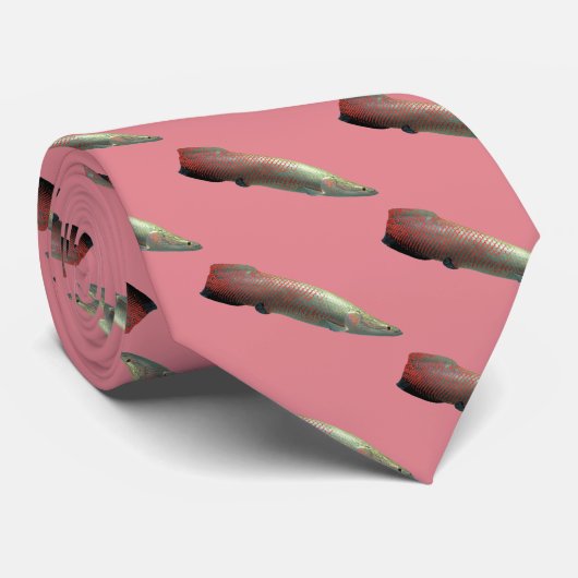 ピラルク ネクタイ (ロール)