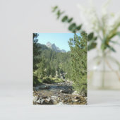 ピリネオス・スペイン ポストカード (スタンド正面)