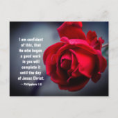 ピリピ1:6私はこの聖句に自信を持っている ポストカード (正面)