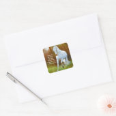 ピリピ4:13すべての事はキリスト、馬を通して スクエアシール (封筒)