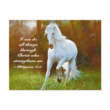 ピリピ4:13すべての事はキリスト、馬を通して