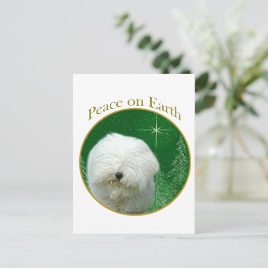 ピリ平和 ポストカード (スタンド正面)