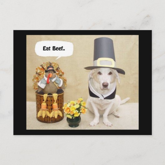 ピルグリムミュルティ ポストカード (正面)