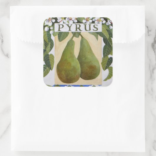 ピルス スクエアシール (バッグ)