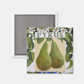 ピルス マグネット (正面/裏面)