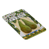 ピルス マグネット (右側)