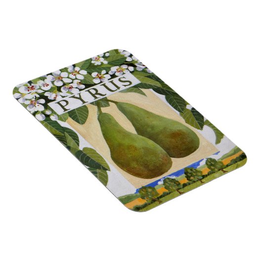 ピルス マグネット (右側)