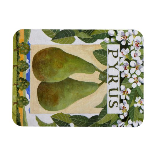 ピルス マグネット (横)